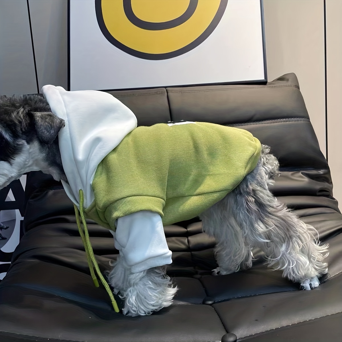 Warm Cozy Dog Hoodie for Winter