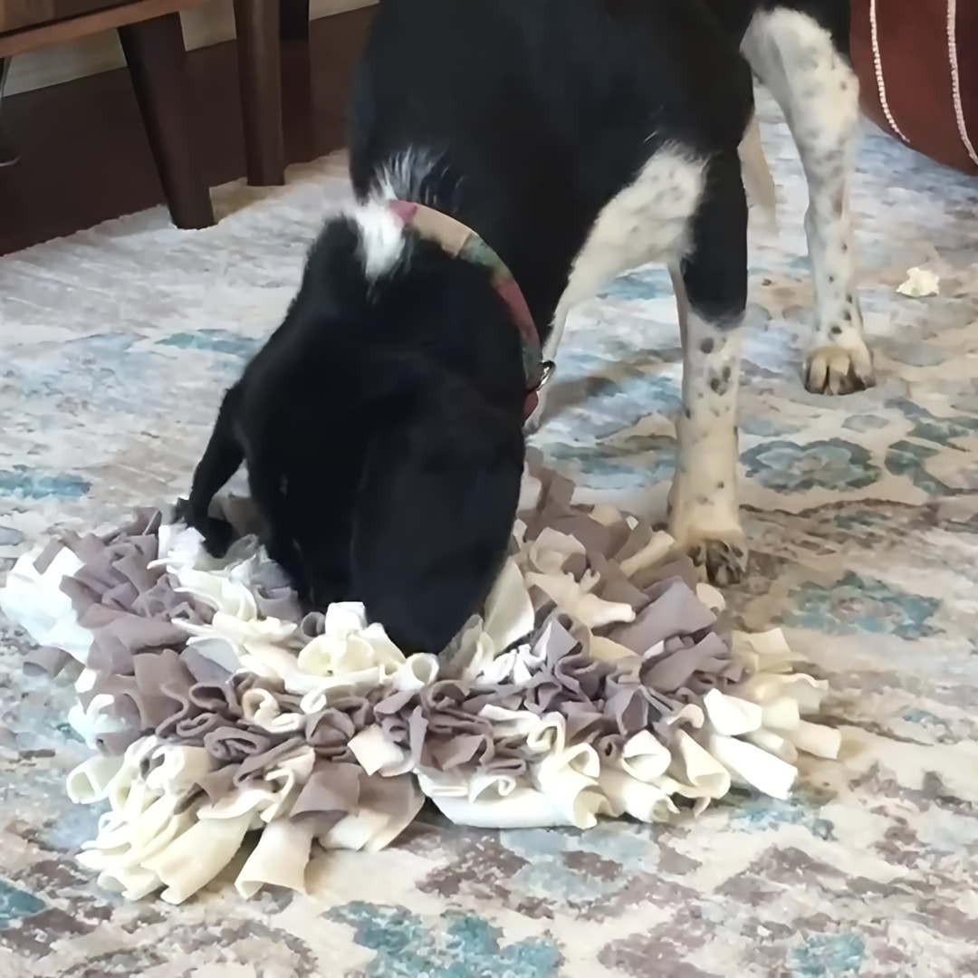 Dog Pet Snuffle Mat Pad Feeding Training Sniffing Puzzle Fun Play