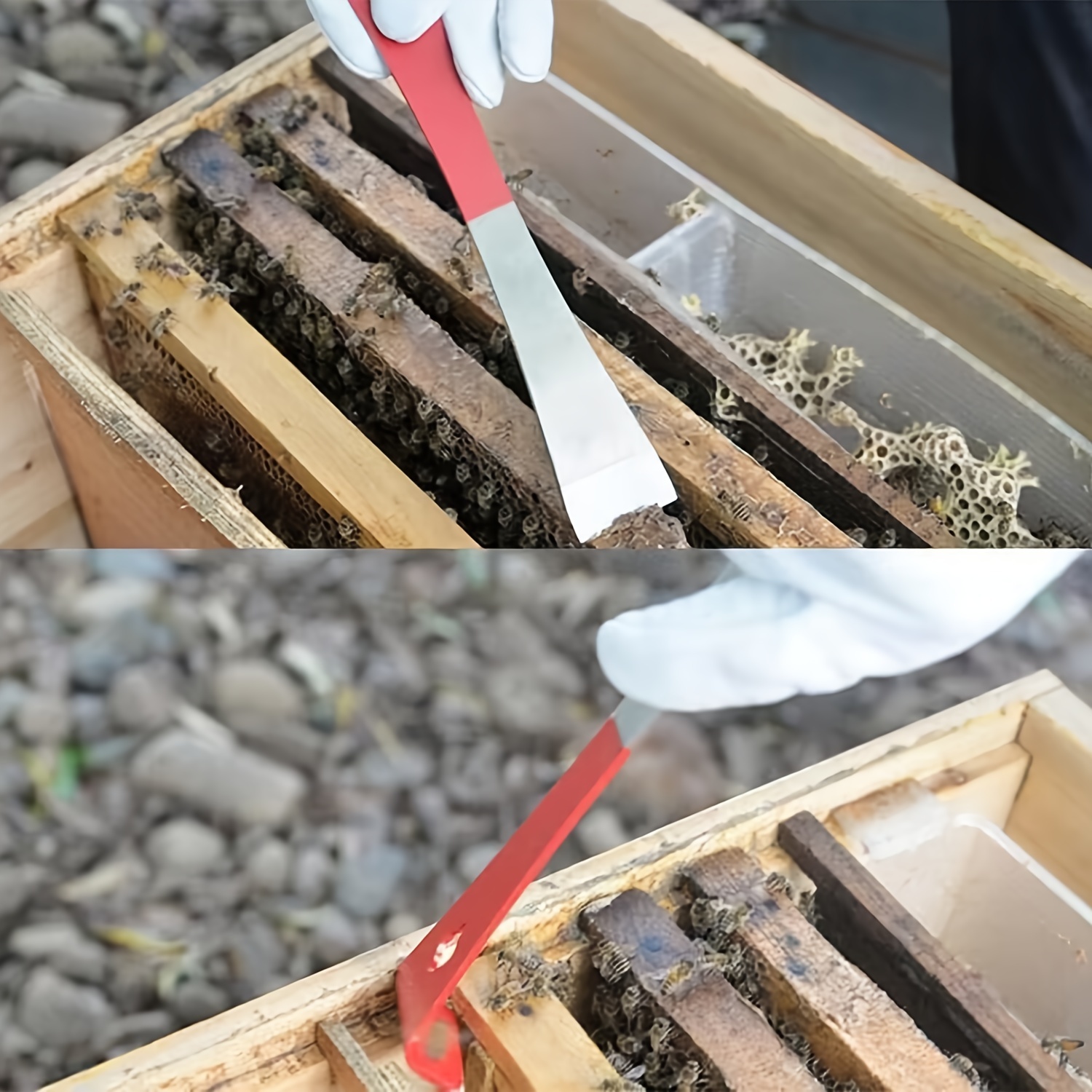 ハイブツール 養蜂 スクレーパー ステンレス 養蜂器具 養蜂用品 お待たせ! - 建築、建設用