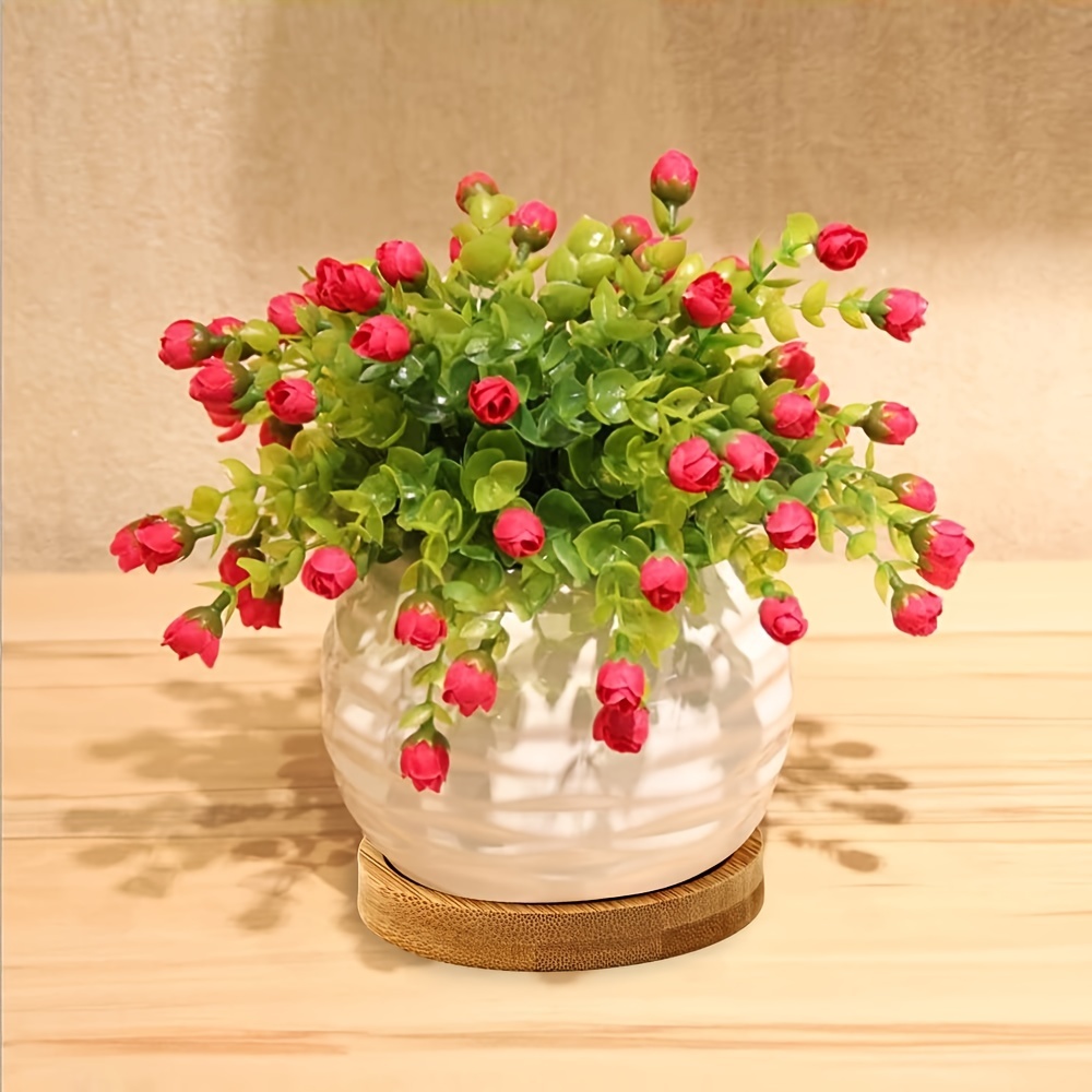 多肉植物 hq720.jpg?sqp=-