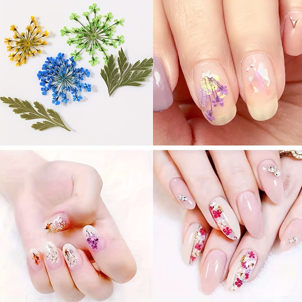 3d Nail Dried Flowers Mini Real Natural Flowers Applique - Temu