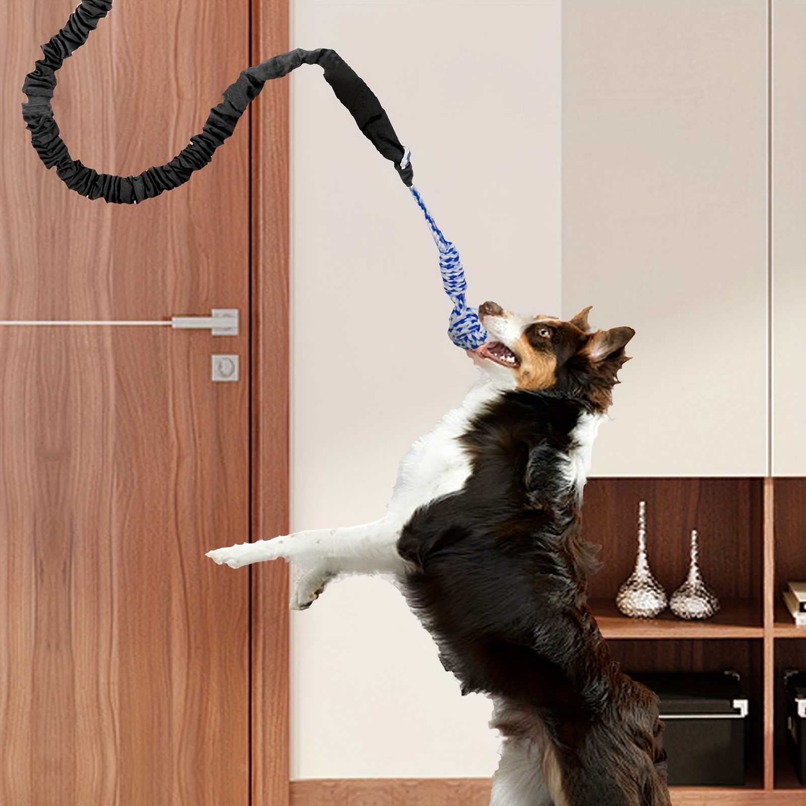 Dogs Spring Pole Toys Outdoor Hanging Exercise Rope Spring Pull