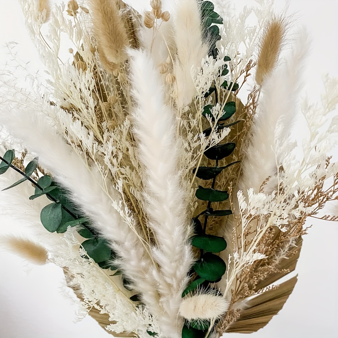 Natural Dried Flowers Pampas Grass Preserved White Eucalyptus Leaves  Bouquet Bunny Tails Bouquet Wedding Home Halloween Decor - Artificial  Flowers - AliExpress