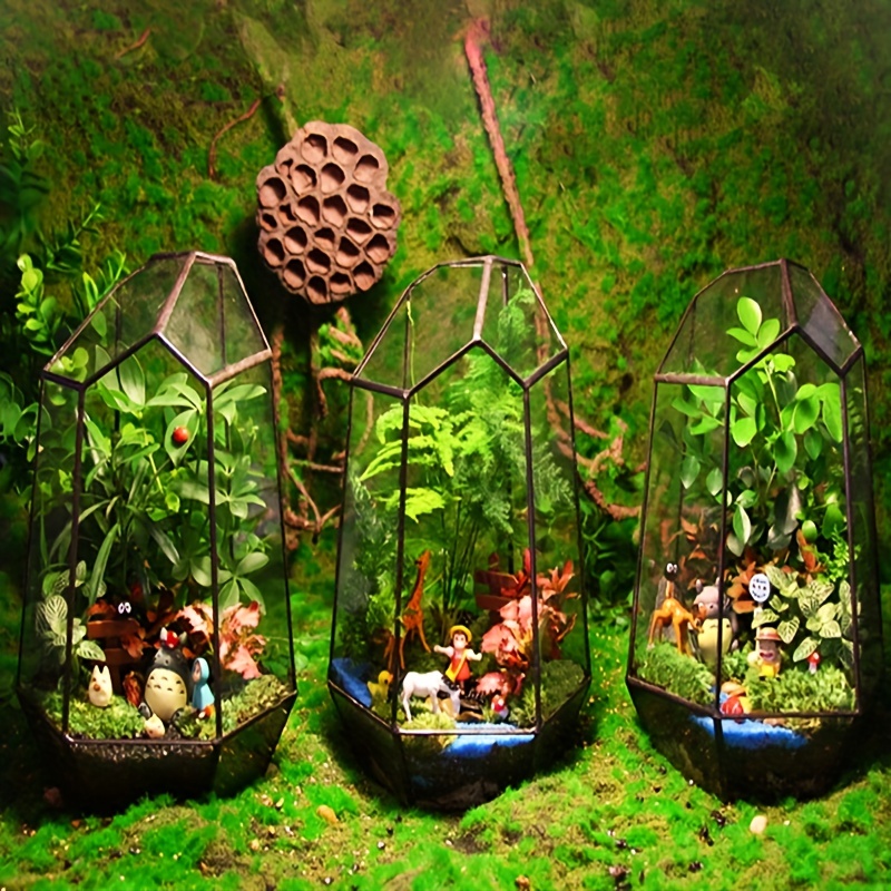 DIY Moss Terrarium -A Miniature Garden in a Glass.#indoorgardening #D, terrarium