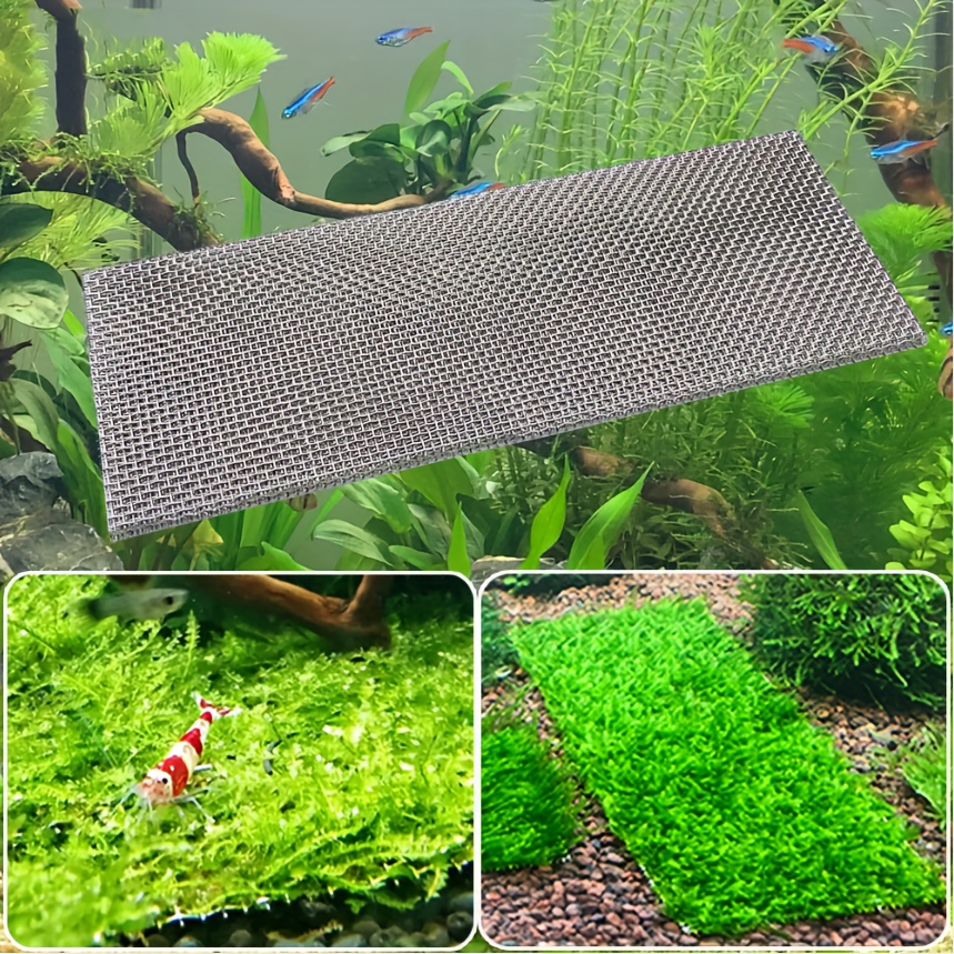 3pcs Diy Stainless Steel Water Grass Modeling For Aquarium Wire Mesh Pad Fish  Tank Aquatic Moss Plants Fixed Net Decoration - Pet Supplies - Temu Canada
