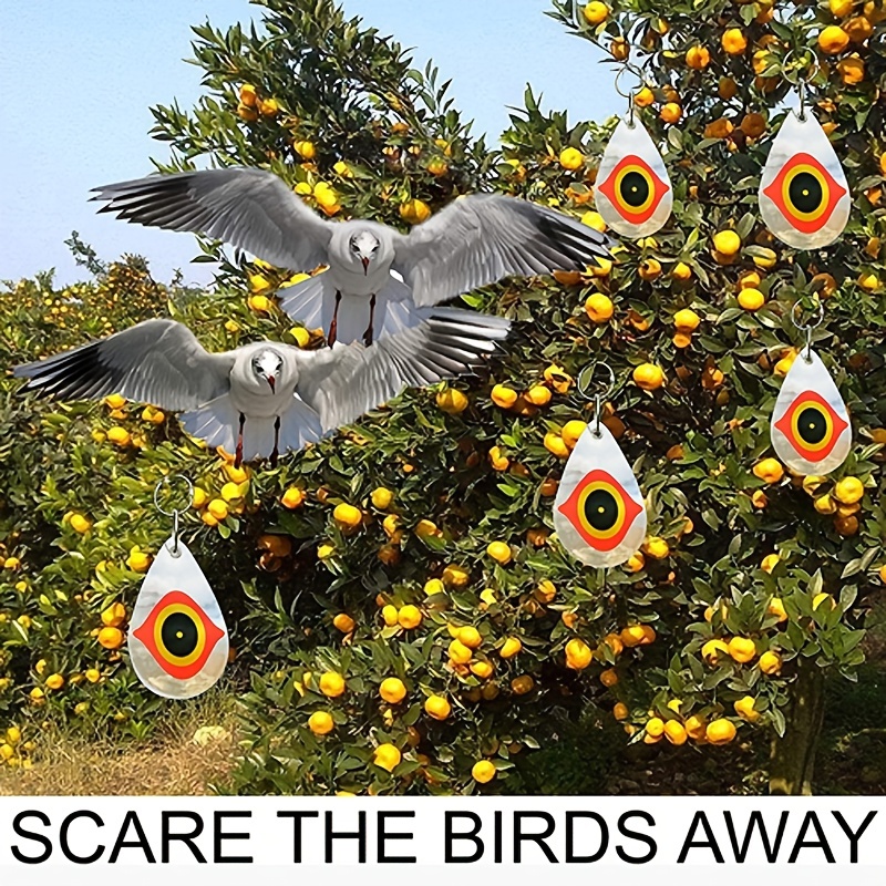 Bird Repellent Discs Keep Birds Away Reflective Eyes! - Temu