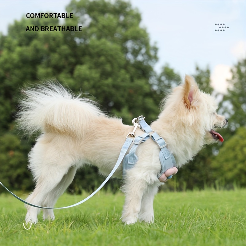 pet chest back harness for cats and small to medium dogs 4