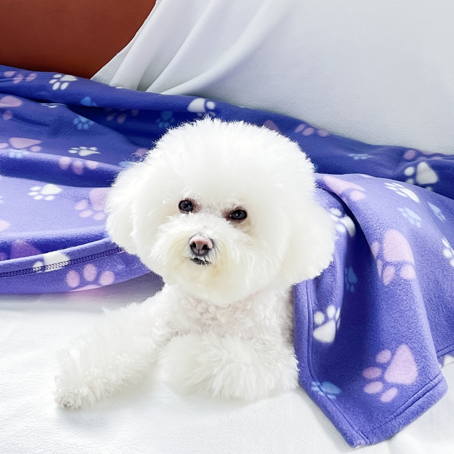 Purple discount dog blanket