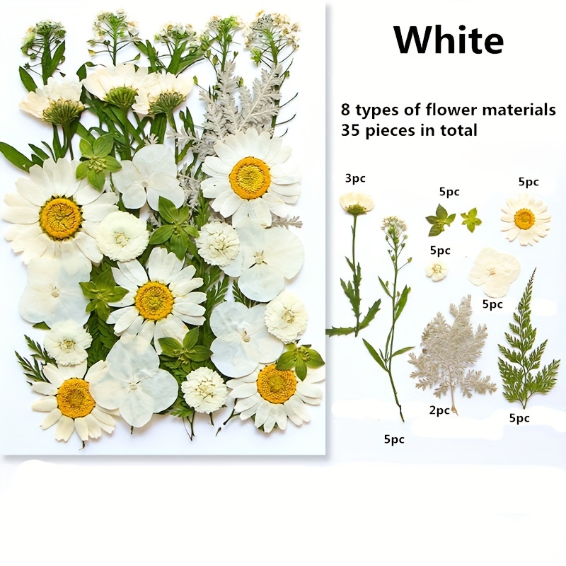 White Dried Flowers,dried Pressed Flowers,flower Epoxy Resin