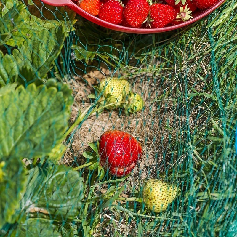 Mesh Net for Berry Baskets