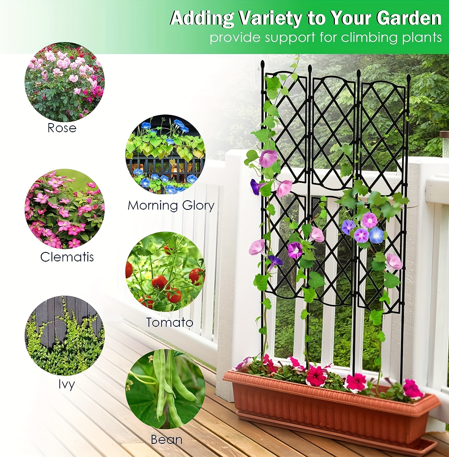 1pc Plant Support Frame Garden Trellis For Climbing Plants Outdoor ...