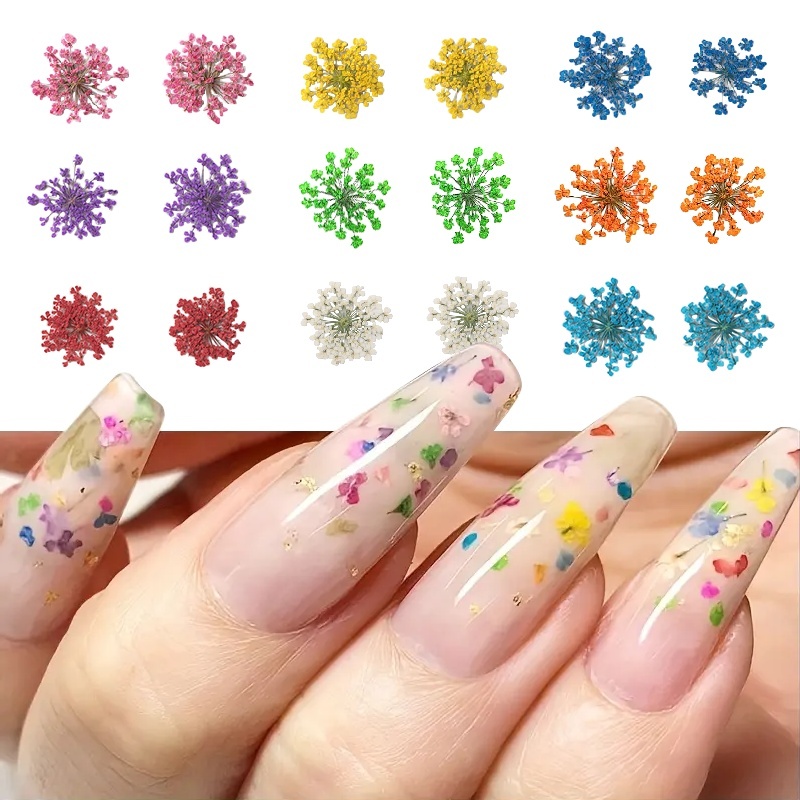 Dried Flowers for Soap Making Dried Flowers Nail Art Dried Flowers for  Resin