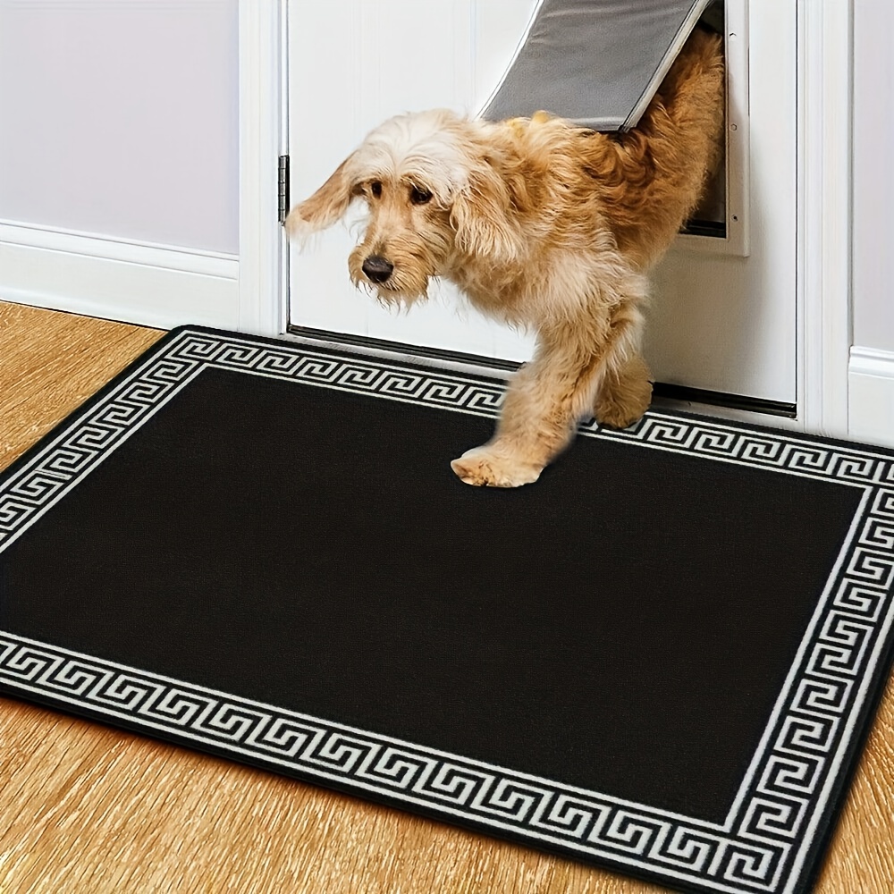 Entry Door Mat Easy To Clean And Durable Ultra thin Non slip - Temu