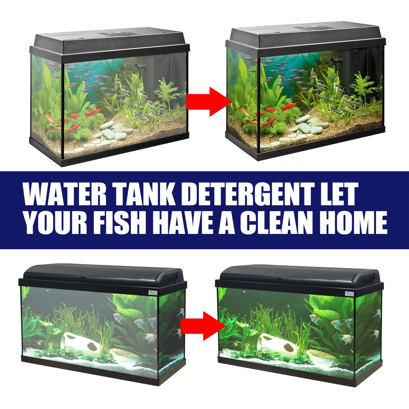 Aquarium algaecide clearance