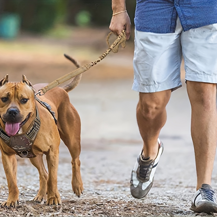 Bungee Dog Leash Heavy Duty for Large Dogs