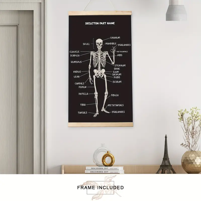 1pc Décoration Maison Squelette Poster D'anatomie Corps - Temu France