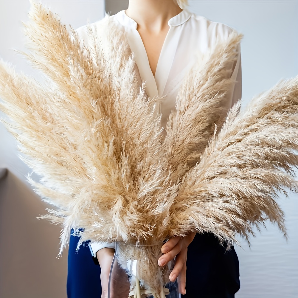 

5pcs Tall Pampas Grass Stifling Steaming Insecticides Boho Decor Home Decor Phragmites Dried Flowers Bouquet For Wedding Floral Arrangements Home Decorations