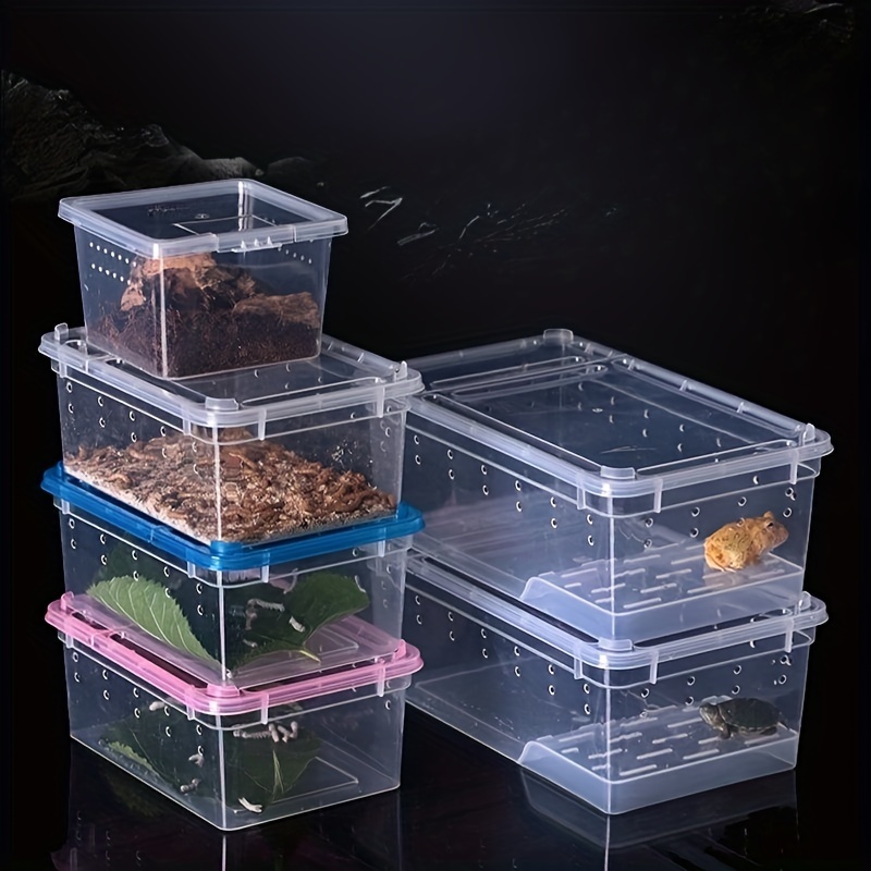 Tarantula Terrarium Jumping Spider Breeding Box Enclosure Accessories  Insect Living Habitat Landscape Case - AliExpress