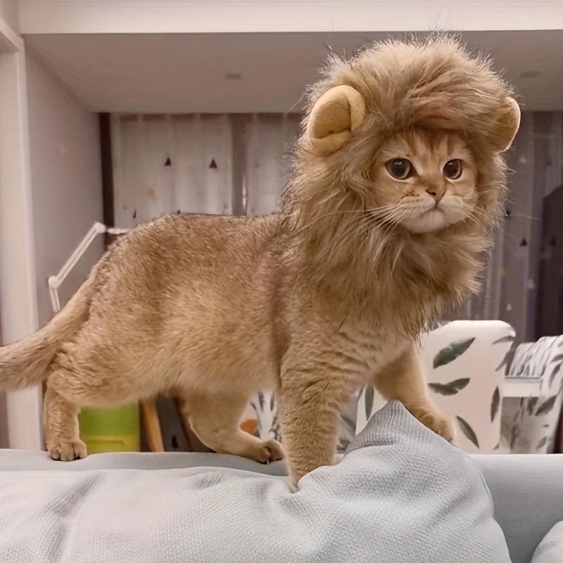1pc Cat Hat Pet Cute Funny Headwear Lion Cat Costume Cosplay - Pet Supplies  - Temu