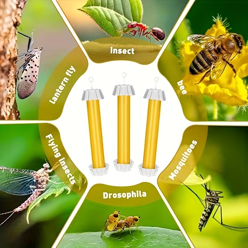 Eliminate Unwanted Insects With Fly Traps Indoor/outdoor - Temu