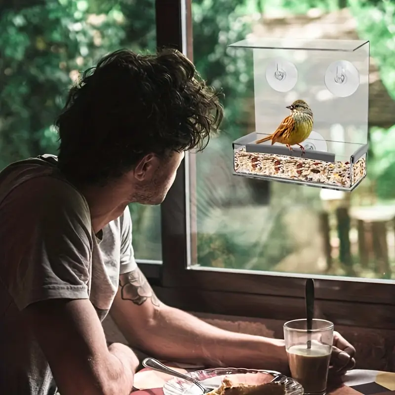 Mangeoire À Oiseaux À Fenêtre Transparente En Acrylique Avec - Temu Belgium