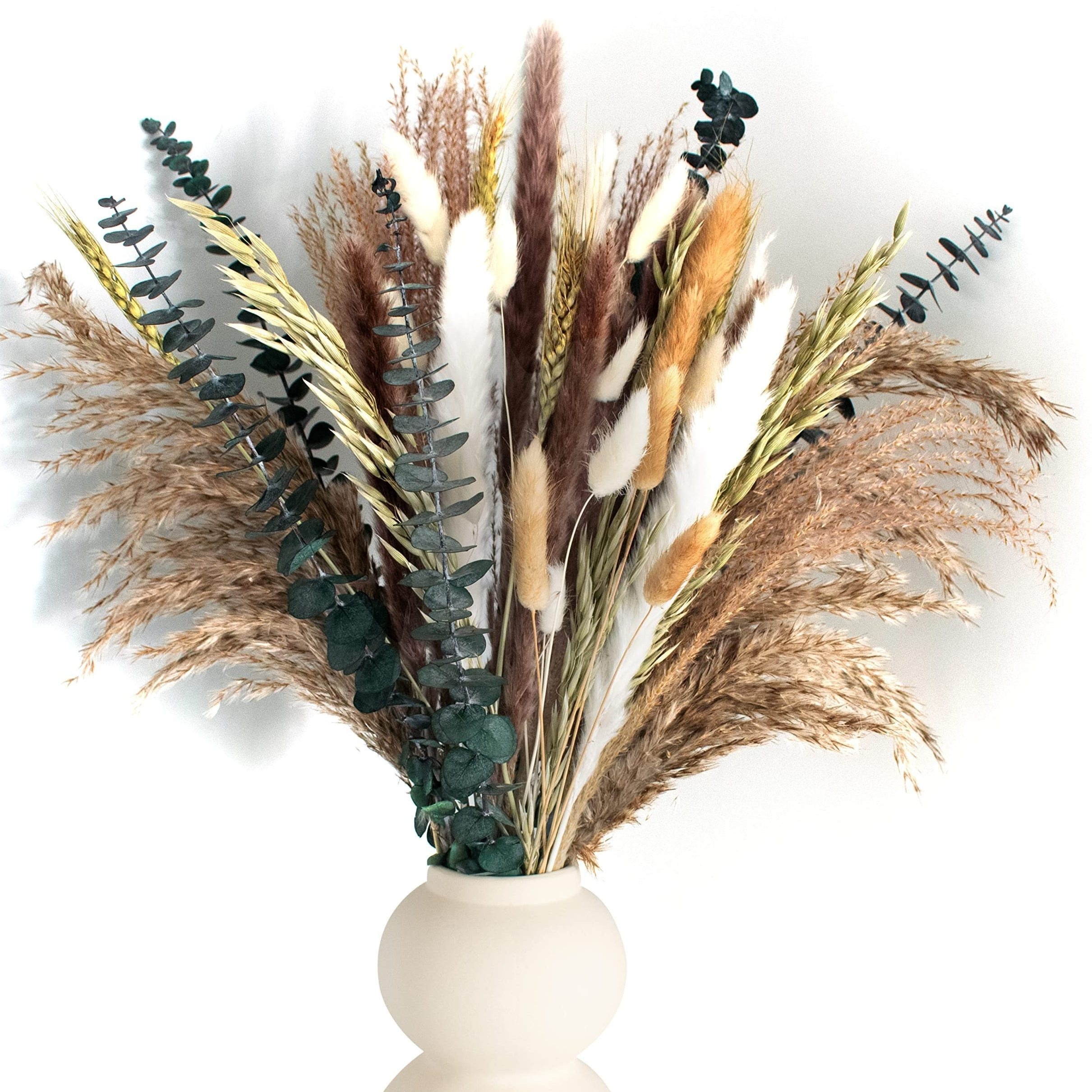 Fiori secchi decorativi Bouquet Erba Della Pampas Decorative 40-44 cm di fiori  secchi naturali fai da te Ideale per il soggiorno Boho Camera da letto e  vasi (LZGSGO-0117) : : Casa e