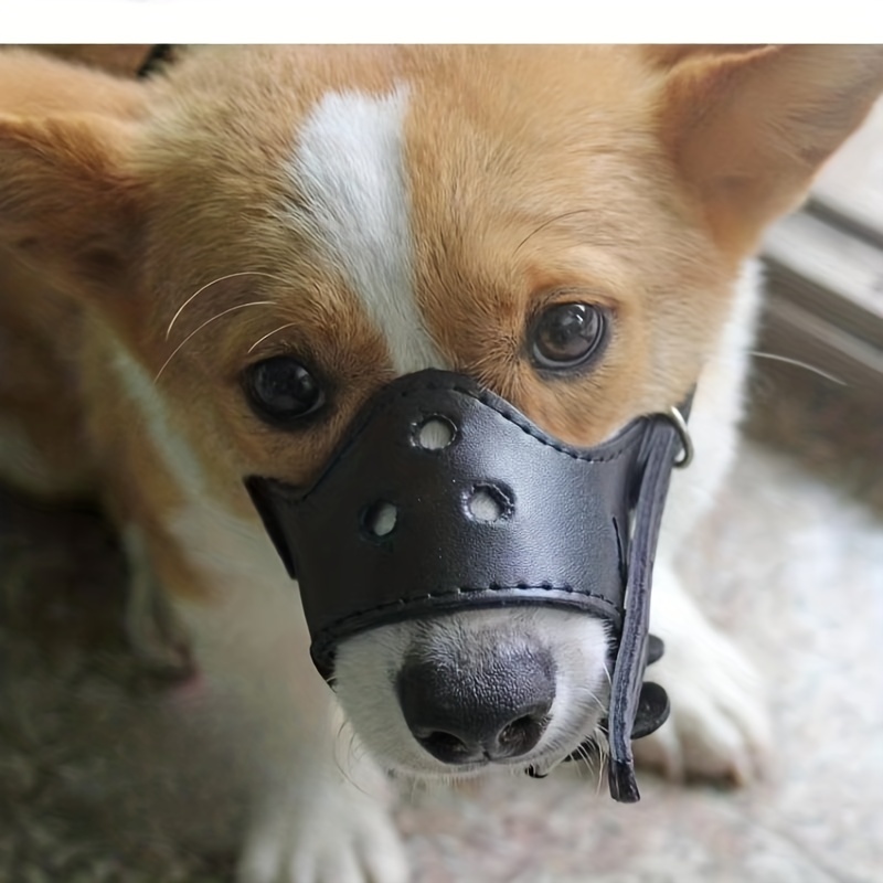 Simple dog outlet muzzle