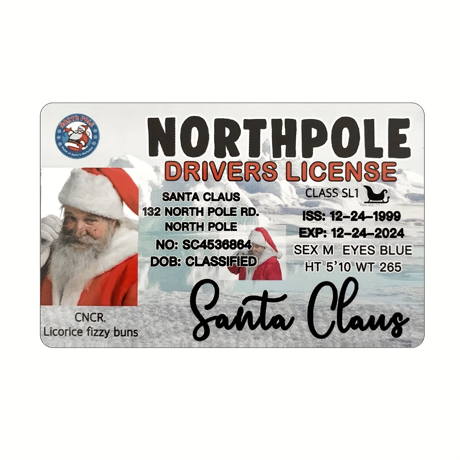 Père Noël a perdu son permis de conduire, carte d'identité Permis de vol de  traîneau, prouver l'existence de Claus, Réveillon de Noël Boîte à clés  Cadeau Ornement d'arbre de Noël