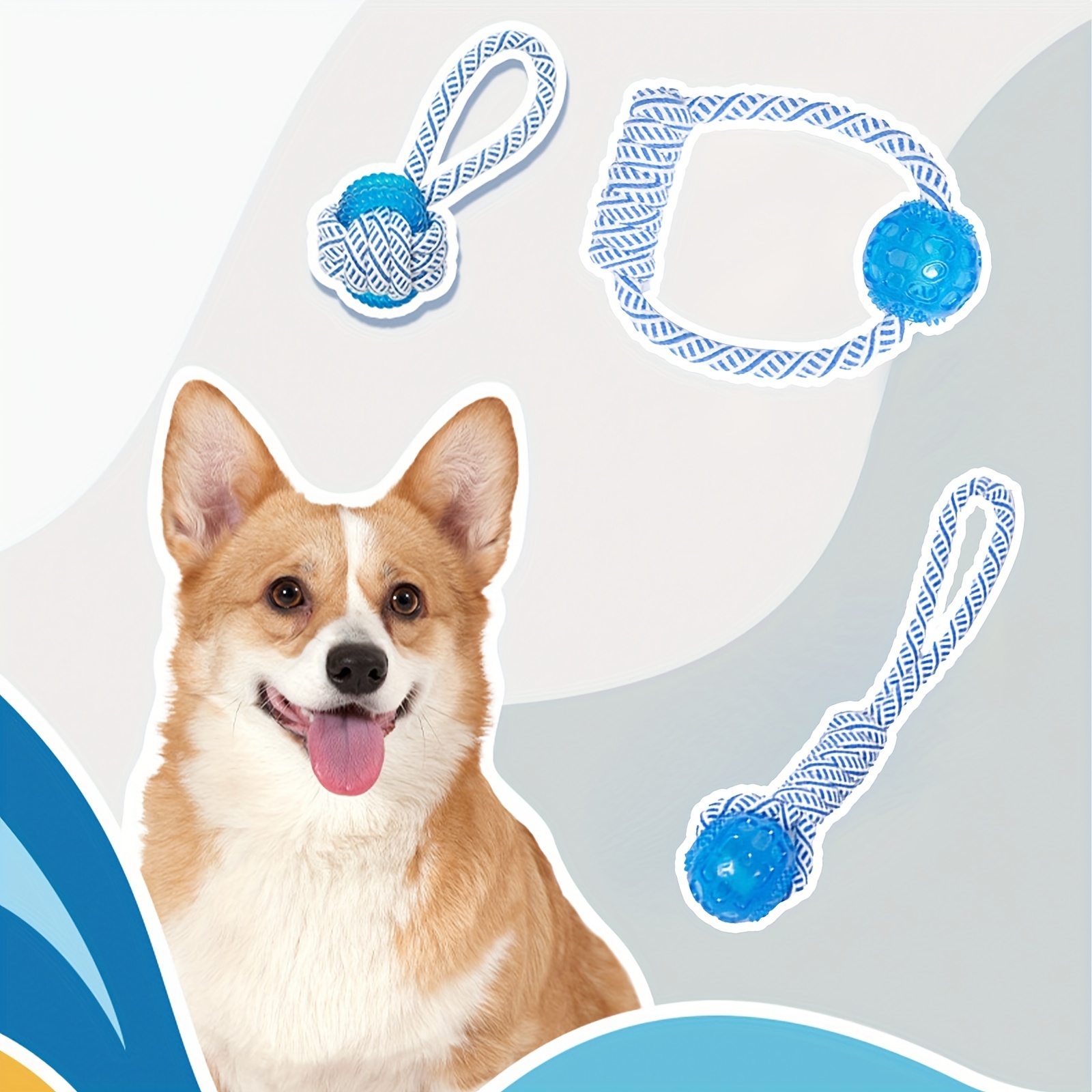 Corgi puppy hot sale supplies