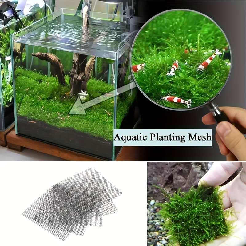 Stainless Steel Moss Mesh Sheets Tied Moss Aquatic Plants - Temu