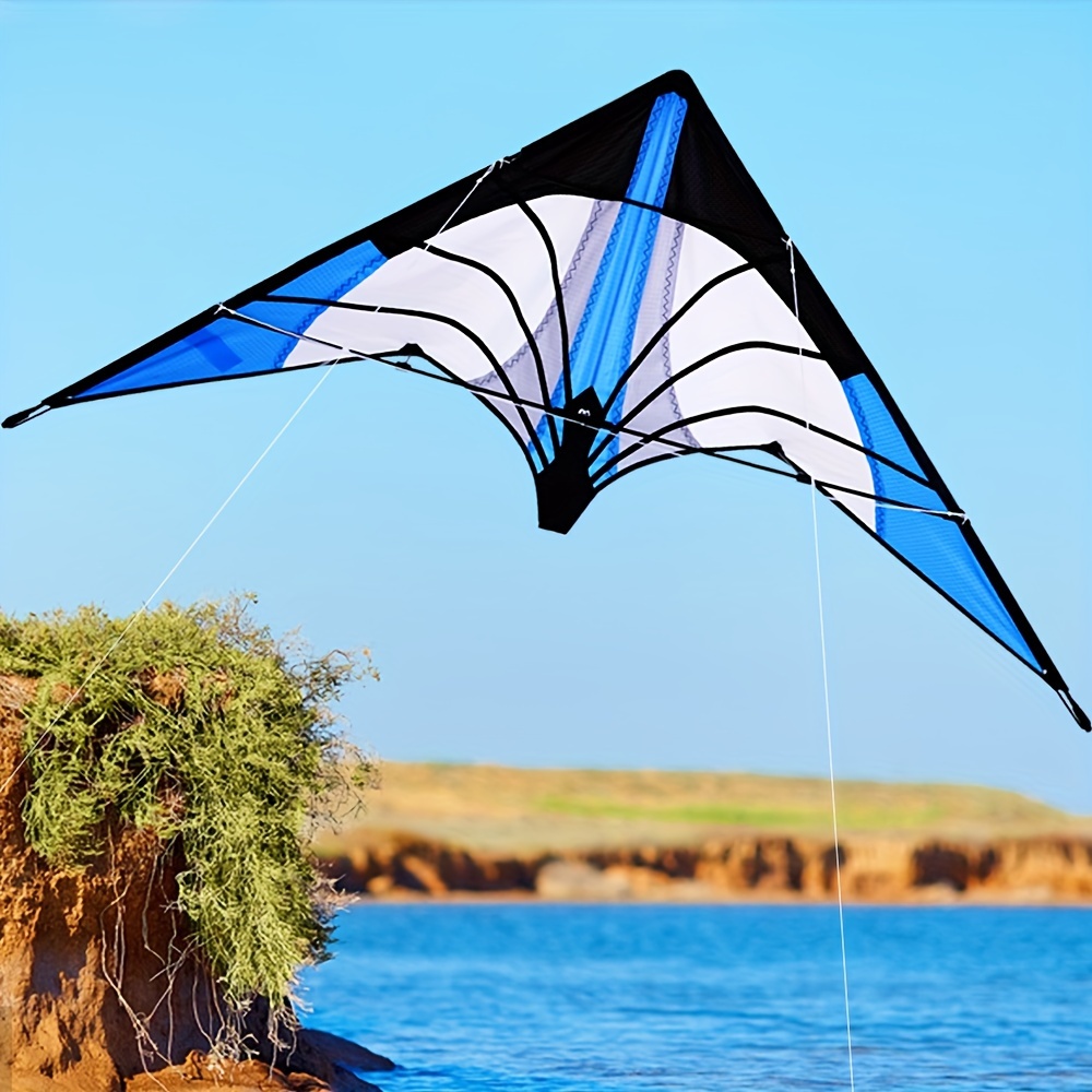 Exciting Kite Flying Ages Get Ready Outdoor Fun A Kite Handle Line - Sports  & Outdoors - Temu