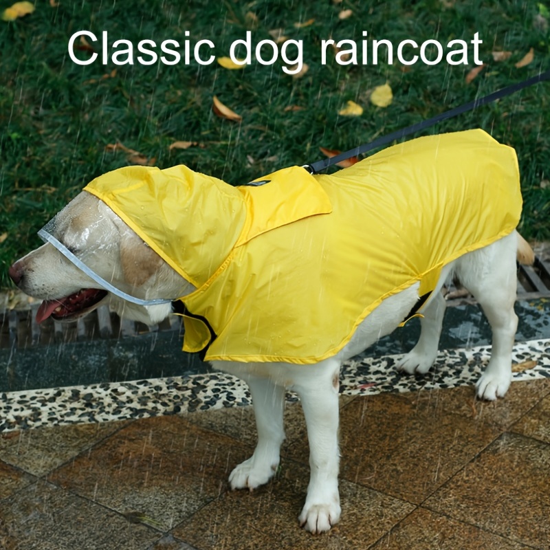 dog raincoat big w