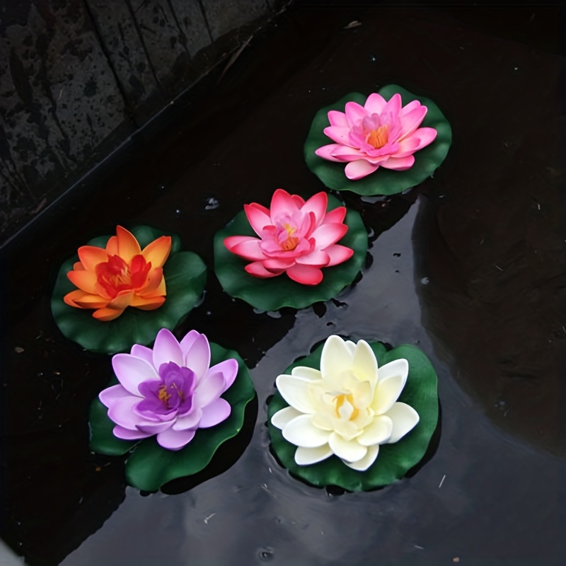Flores de loto - Lotos para el estanque 