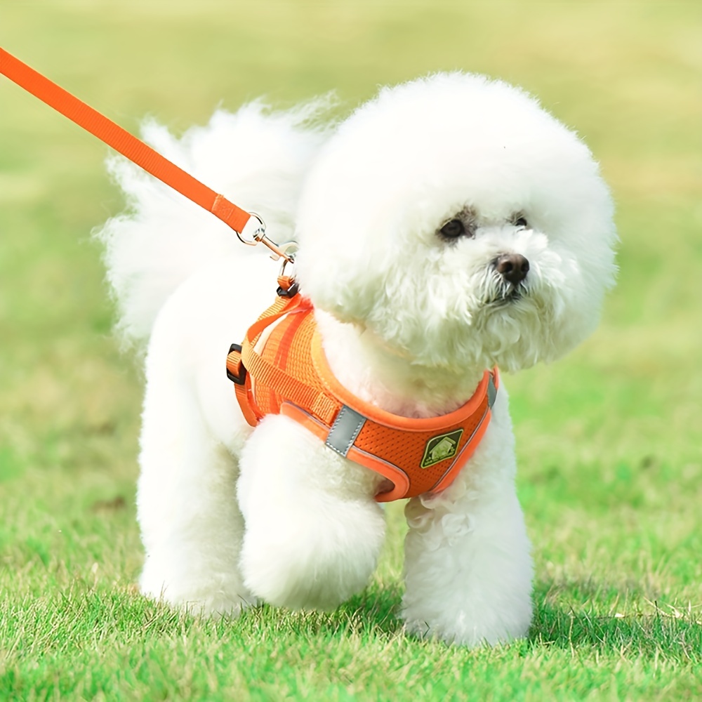 Harnais pour petit chien, harnais pour chiot, harnais pour chien souple et  ensemble de laisse avec un collier réfléchissant