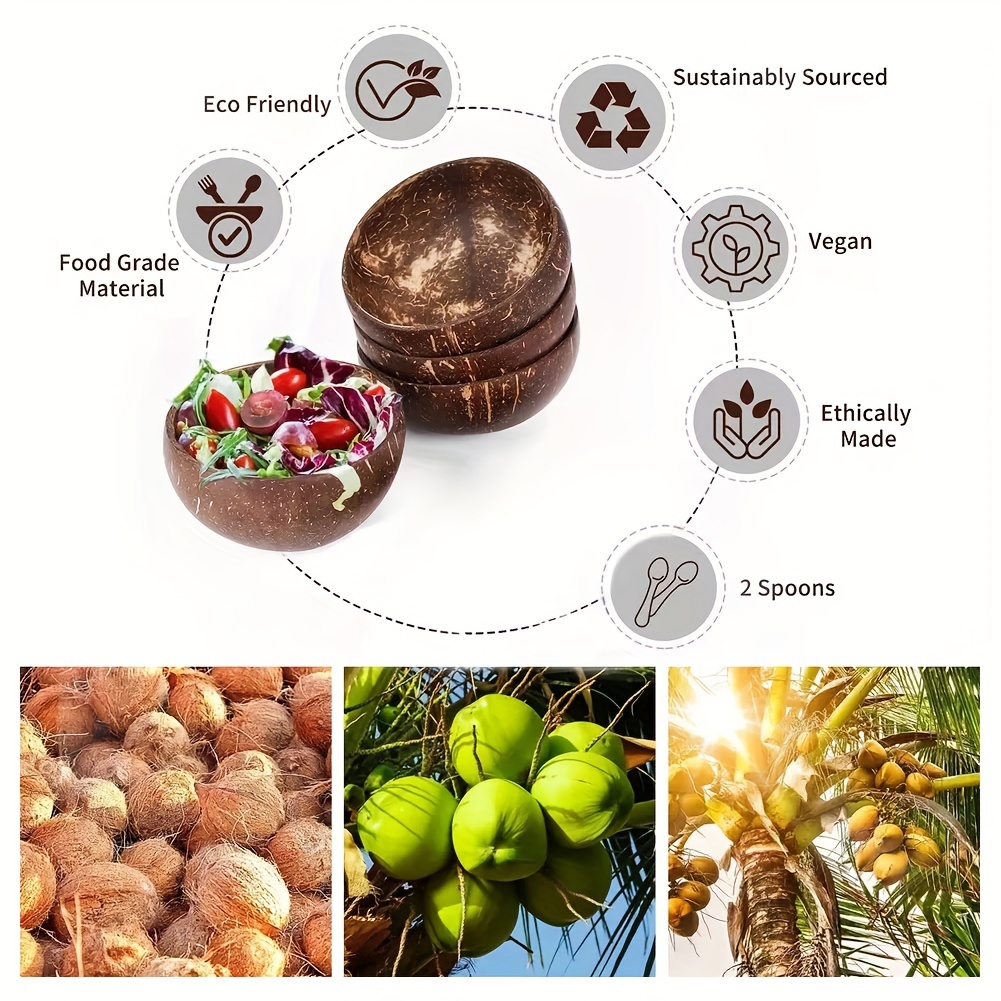Natural Coconut Bowl & Spoon Coconut Bowl Set Eco Friendly Fruit