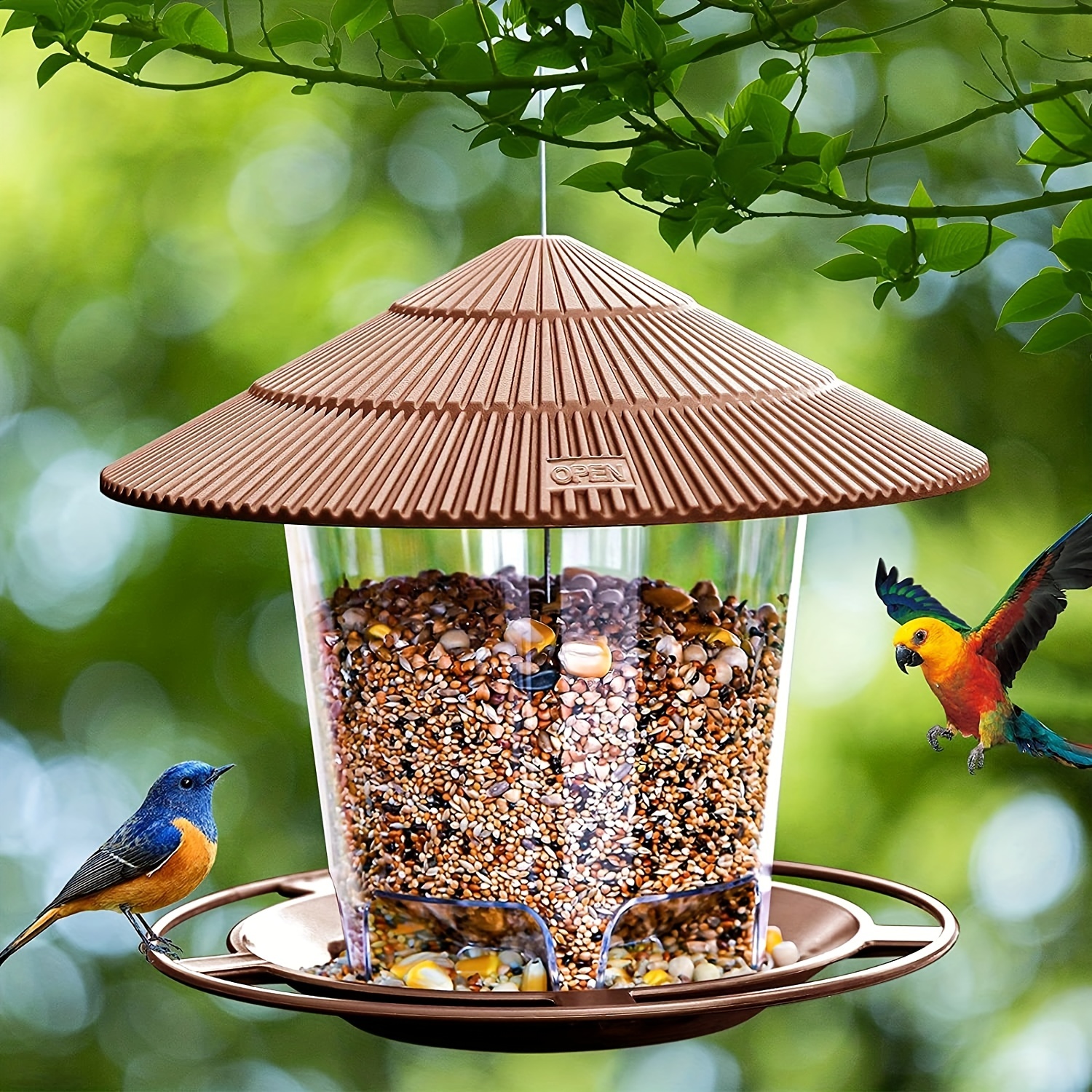 Twinkle Star - Comedero colgante para pájaros silvestres para decoración  exterior en jardín, diseño hexagonal con techo, verde