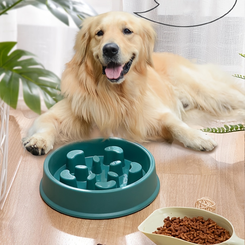 Large Dogs Bowls Elevated Pet Double Food Water Bowl Tilted Height  Adjustable Big Dog Drinking Eating Slow Feeders - AliExpress