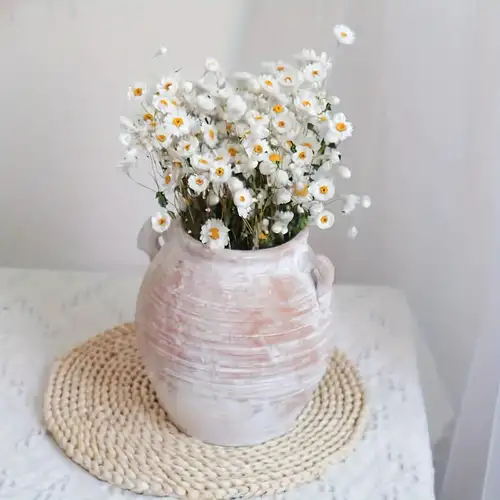 Real Dried Daisy White Flowers Natural Chrysanthemum Daisies - Temu