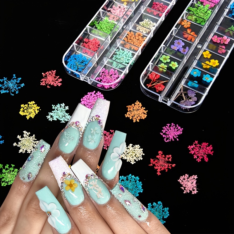 12 Colors Nail Dried Flowers 3D Nail Art Sticker, Natural Real Dry Flower,  Nail Design Art Decorations Decals Accessory Nail Supplies, Lovely Five  Petal Flower Beauty Nail Stickers for Manicure : 