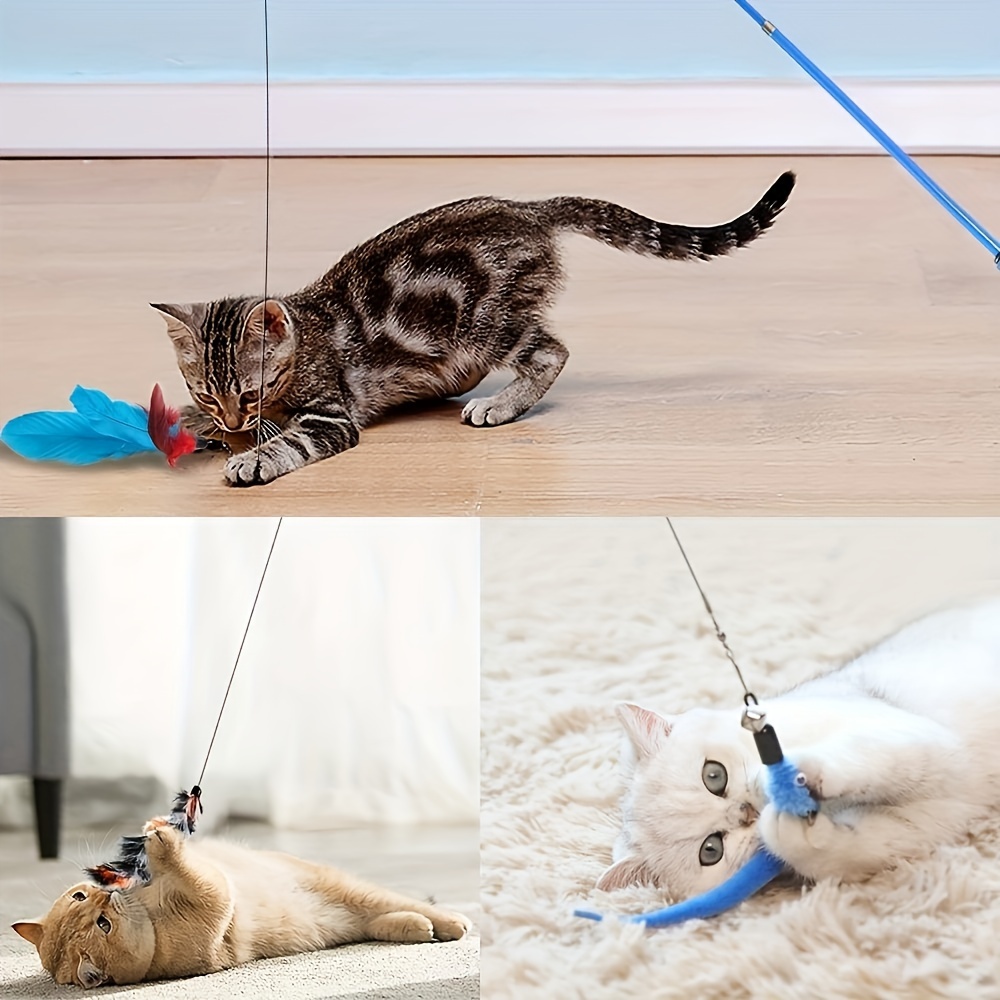 Suction Cup Cat Toys Cat Toys Interactive Wand Feather Cat - Temu