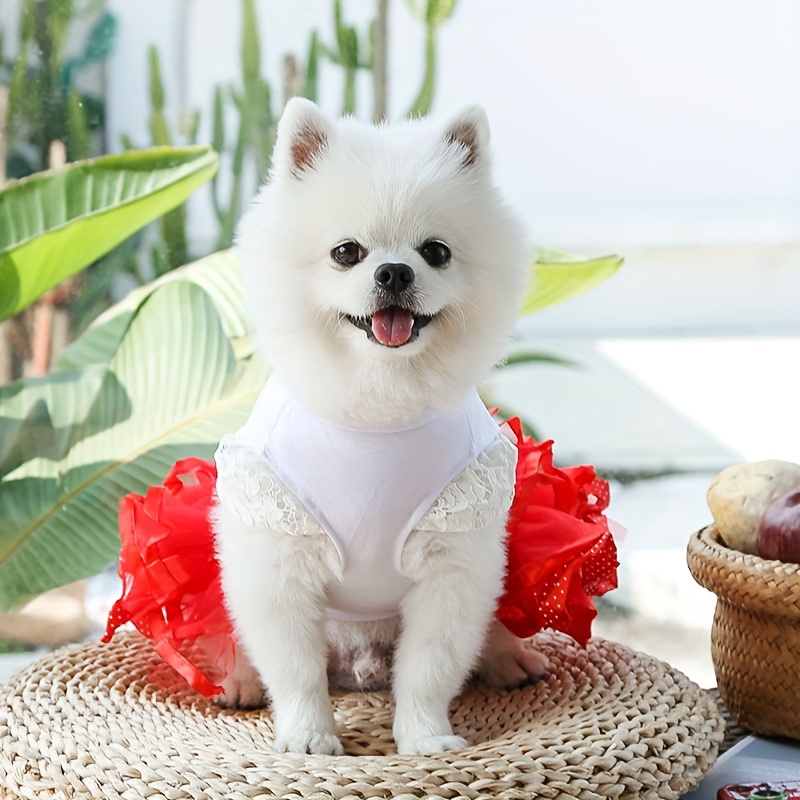 Vestidos elegantes para online perros