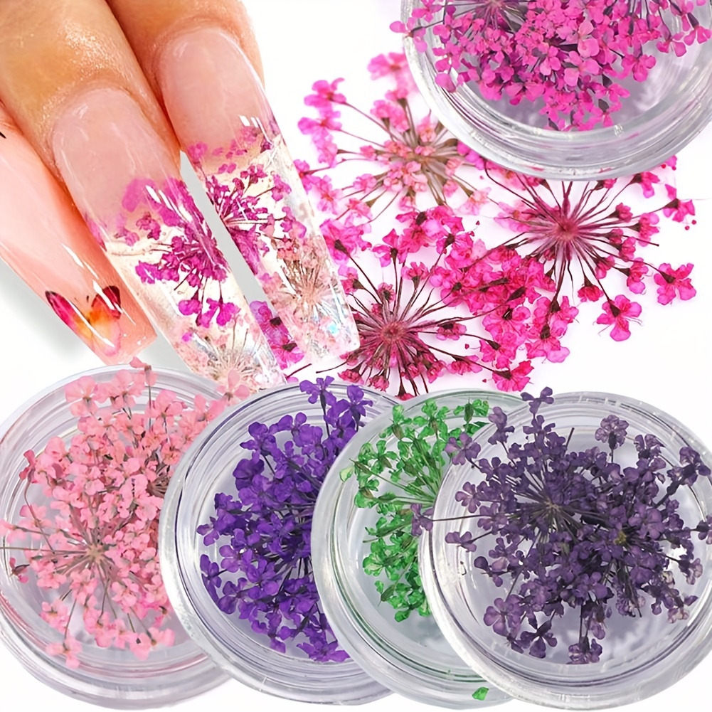 1 Caja De 12 Colores 3D Nail Art Stickers Real Dried Flowers Nail