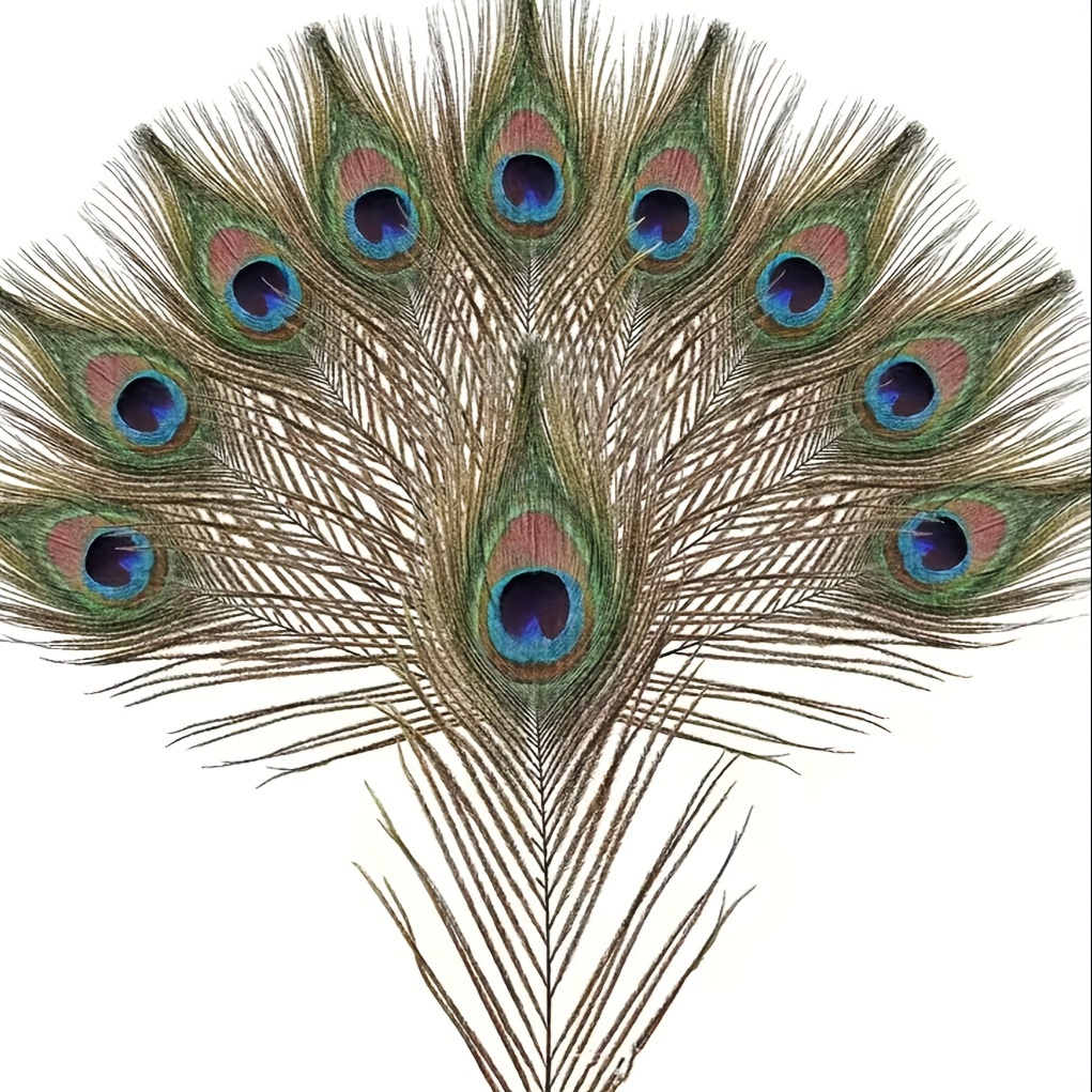 24 plumas de pavo blancas de 10 a 12 pulgadas de largo, hermosas plumas  para manualidades de 26 a 12.2 in, plumas naturales bilaterales de gran