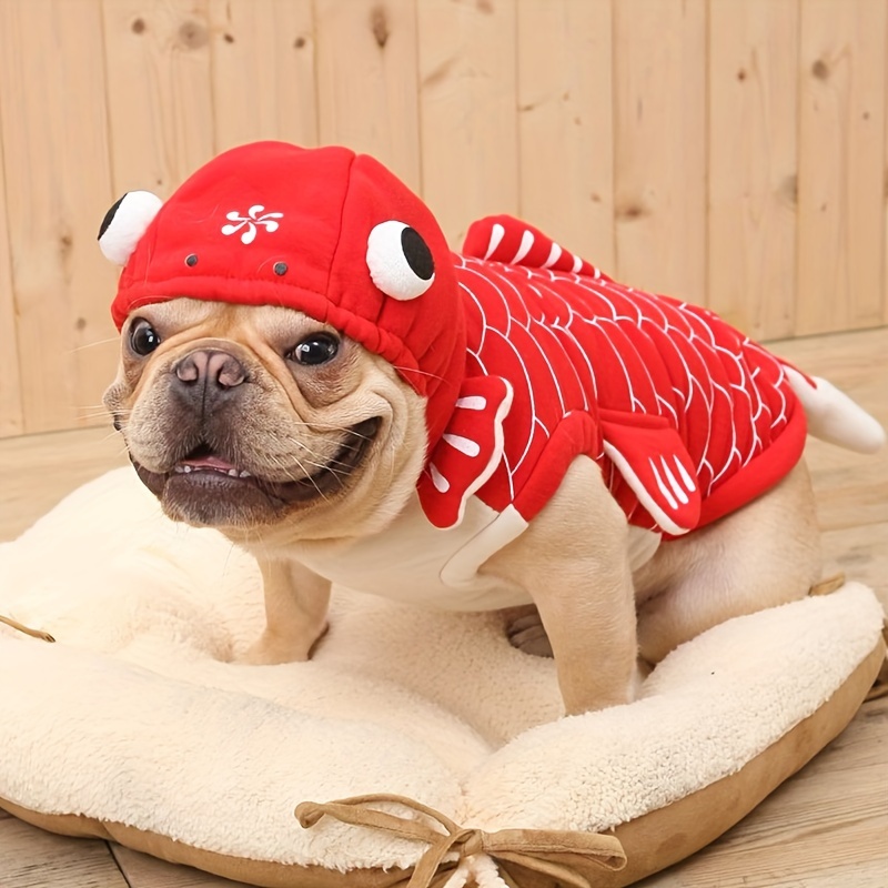 Pet Red Goldfish Transformation Suit Dog Clothes Funny Cute - Temu