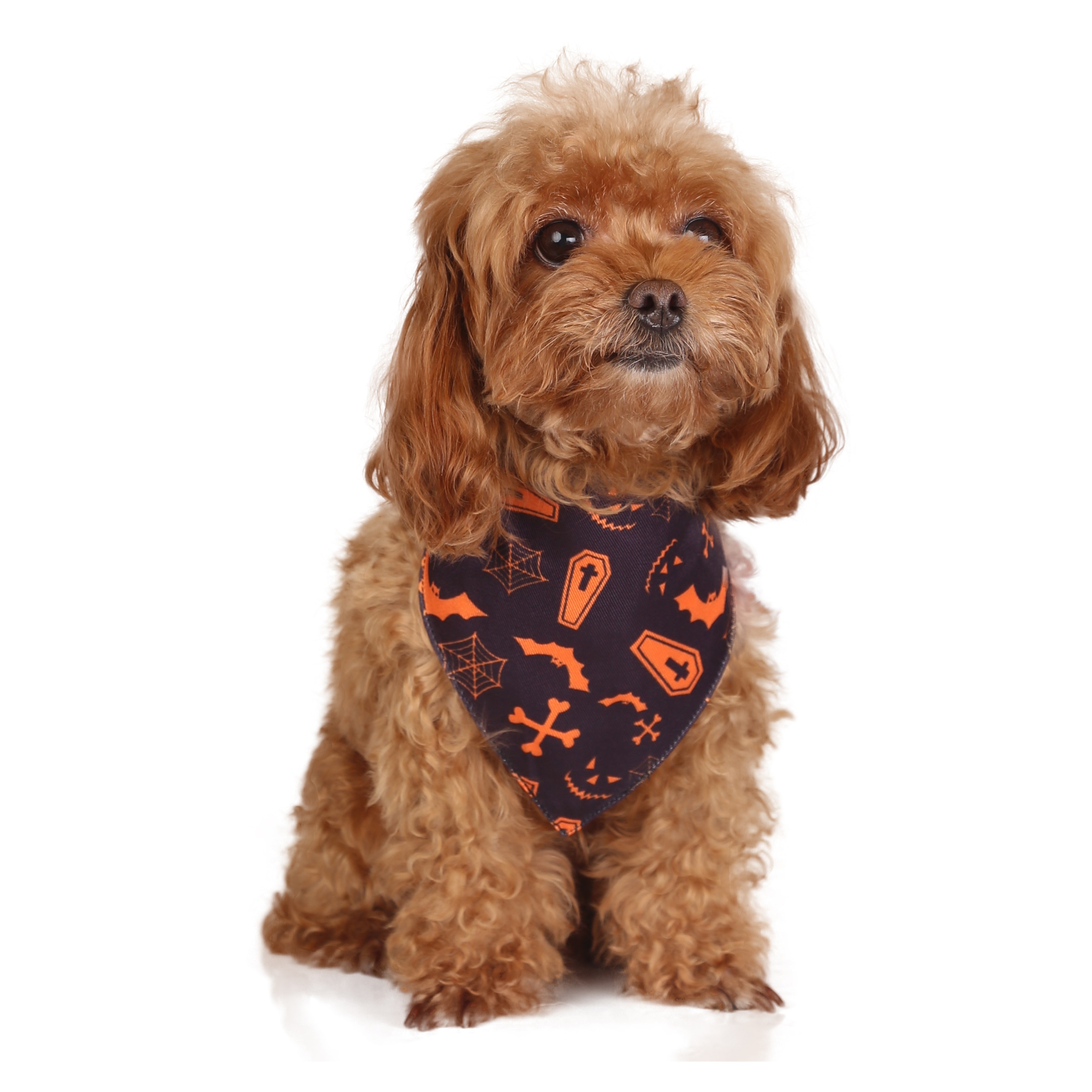 Adjustable Dog Bandana Stylish Pet Neckerchief With Soft Fabric For  Comfortable Fit And Easy Wear Perfect For Cats And Dogs Of All Sizes - Pet  Supplies - Temu