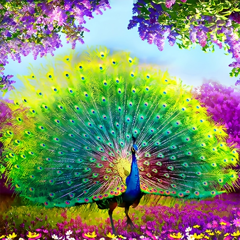 Full Large Diamond Painting kit - Beautiful peacock – Hibah-Diamond painting  art studio