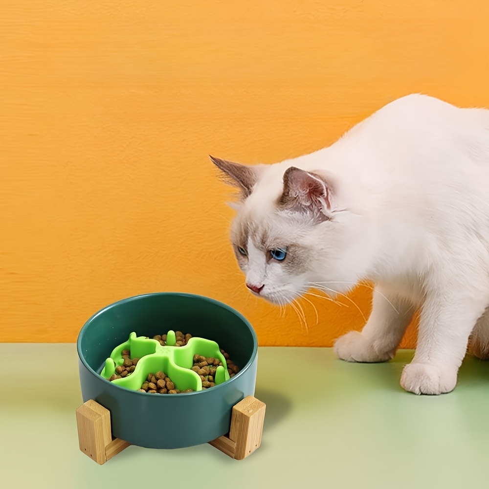 Slow Feeder Dog bowl with Lick Mat - ORANGE