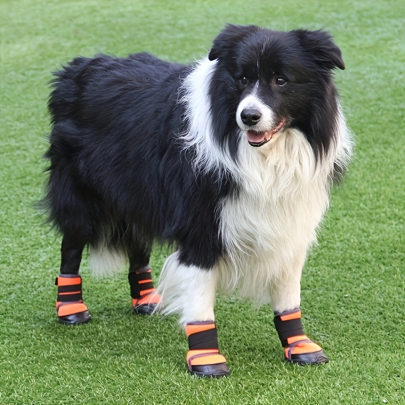 4 Pares / Set De Zapatos Para Perros Y Calcetines - Temu