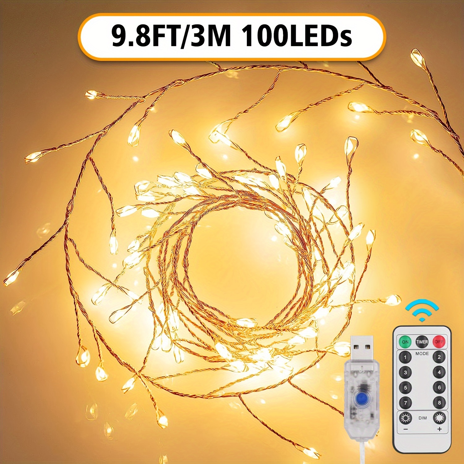 Warm White Copper Wire Lights with Remote