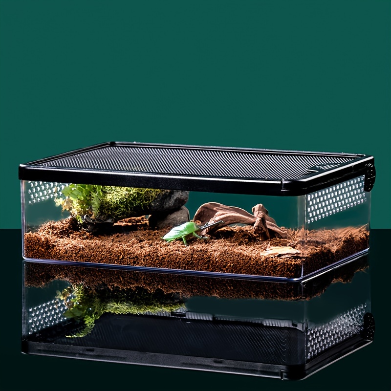 FRCOLOR Box Tarantula Enclosure Tank Spider Small Animals Reptile  Accessories pet Terrarium Mini Water Tank Terrarium Container Glass Shell  Wood